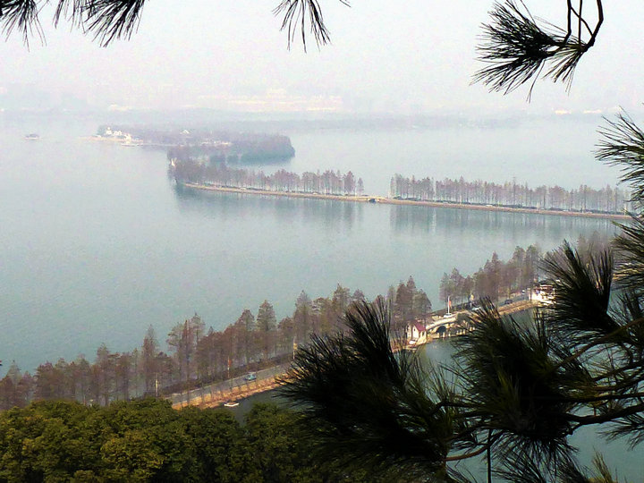 p1000308.jpg