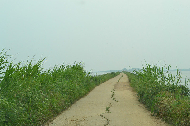 dsc_0306.jpg