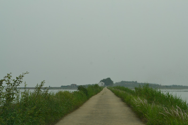 dsc_0307.jpg