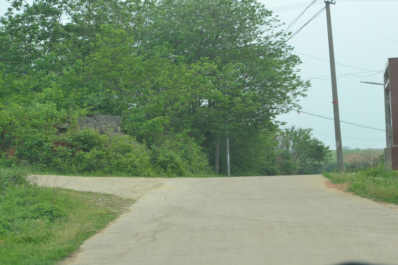 dsc_0314.jpg