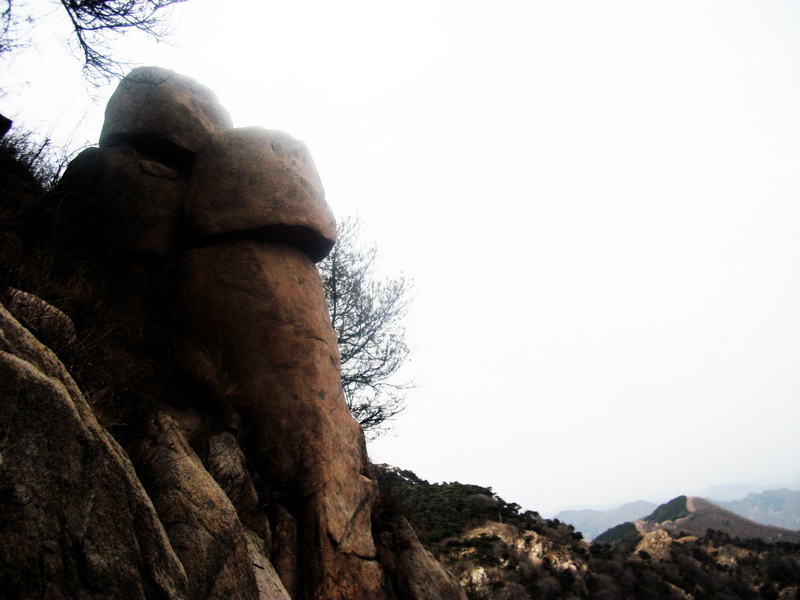 dscf0297.jpg