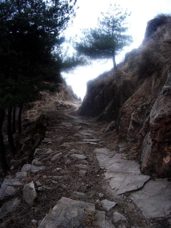 dscf0298.jpg