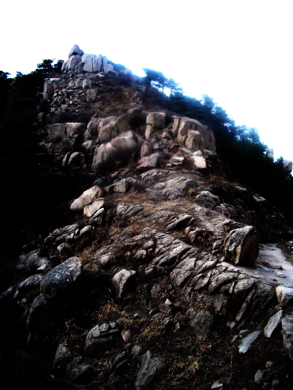 dscf0299.jpg