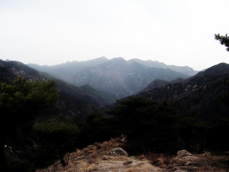 dscf0300.jpg