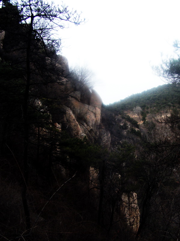 dscf0301.jpg