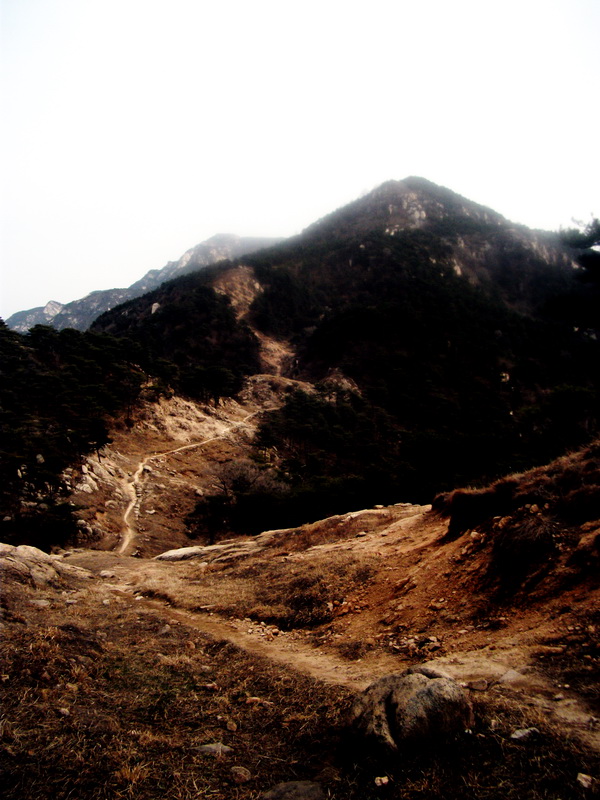 dscf0302.jpg
