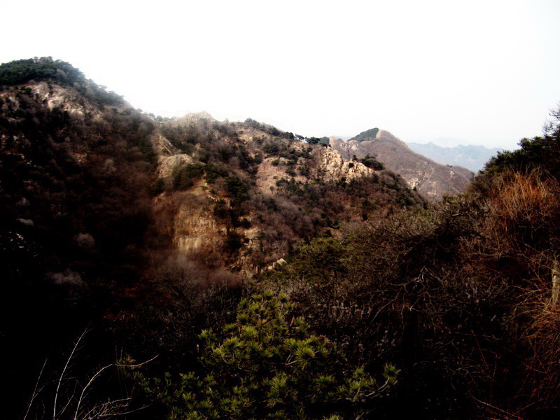 dscf0303.jpg