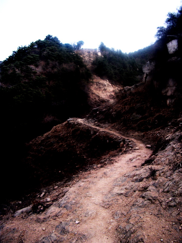 dscf0305.jpg