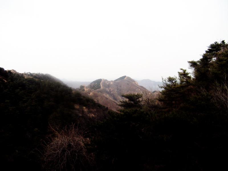 dscf0306.jpg