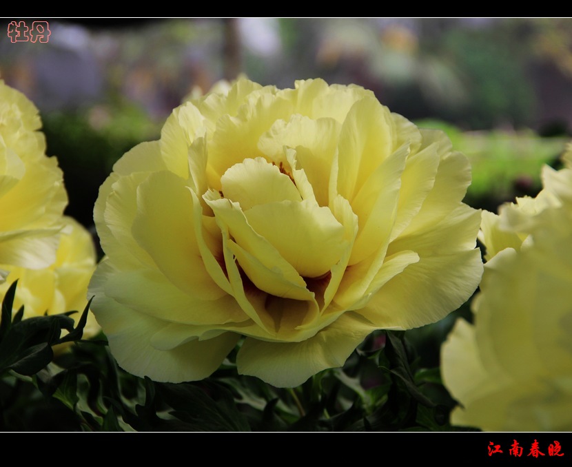 neo_img_img_4561.jpg