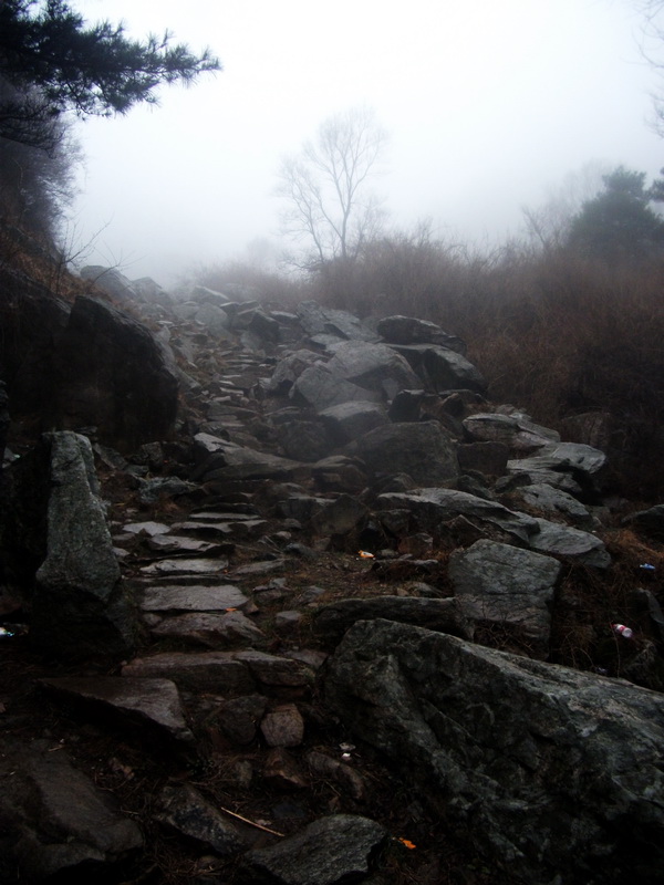 dscf0169.jpg