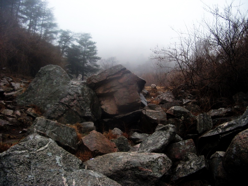 dscf0171.jpg