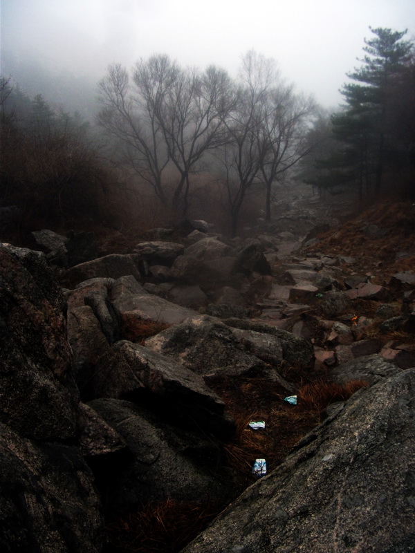 dscf0172.jpg