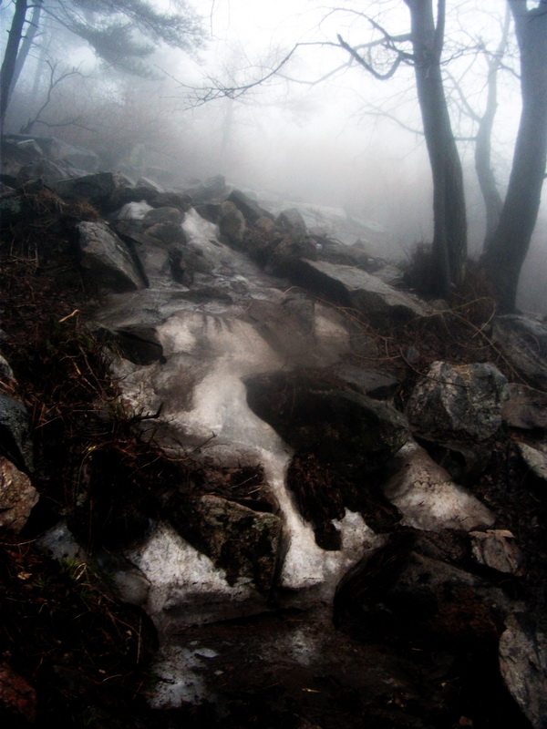 dscf0173.jpg
