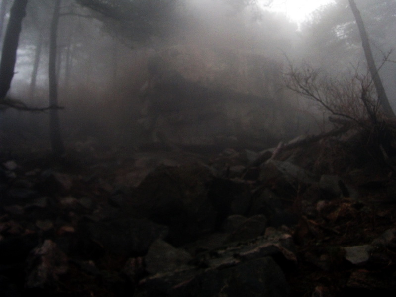 dscf0174.jpg