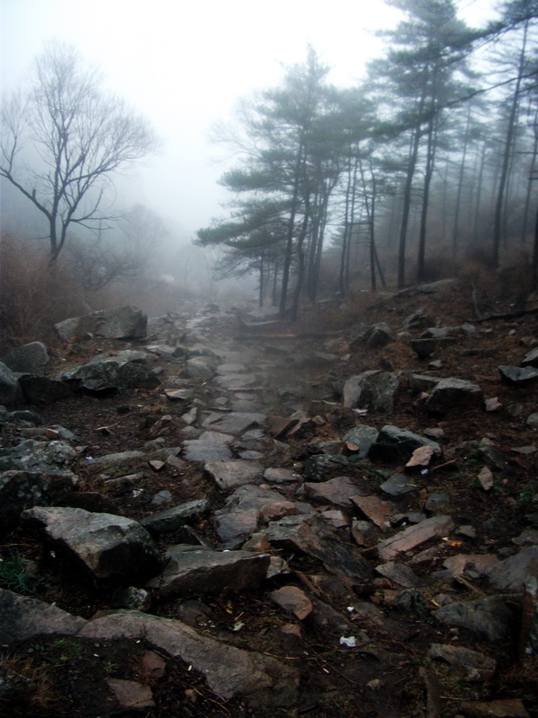 dscf0168.jpg