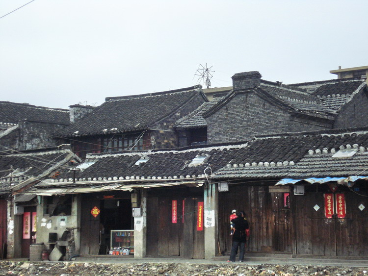 dsc08222.jpg