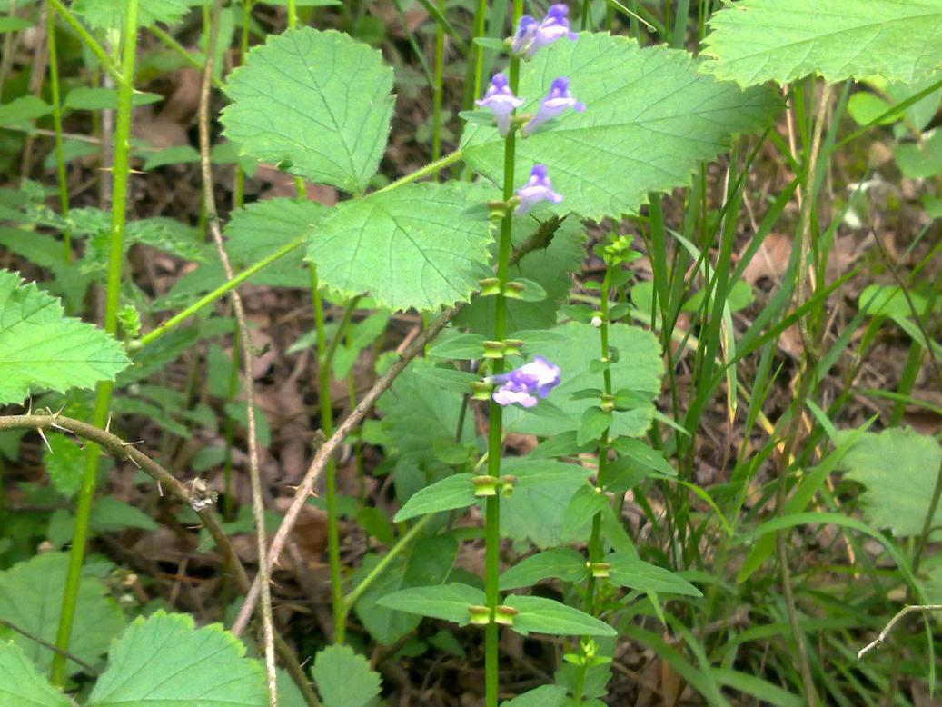 201204301711.jpg