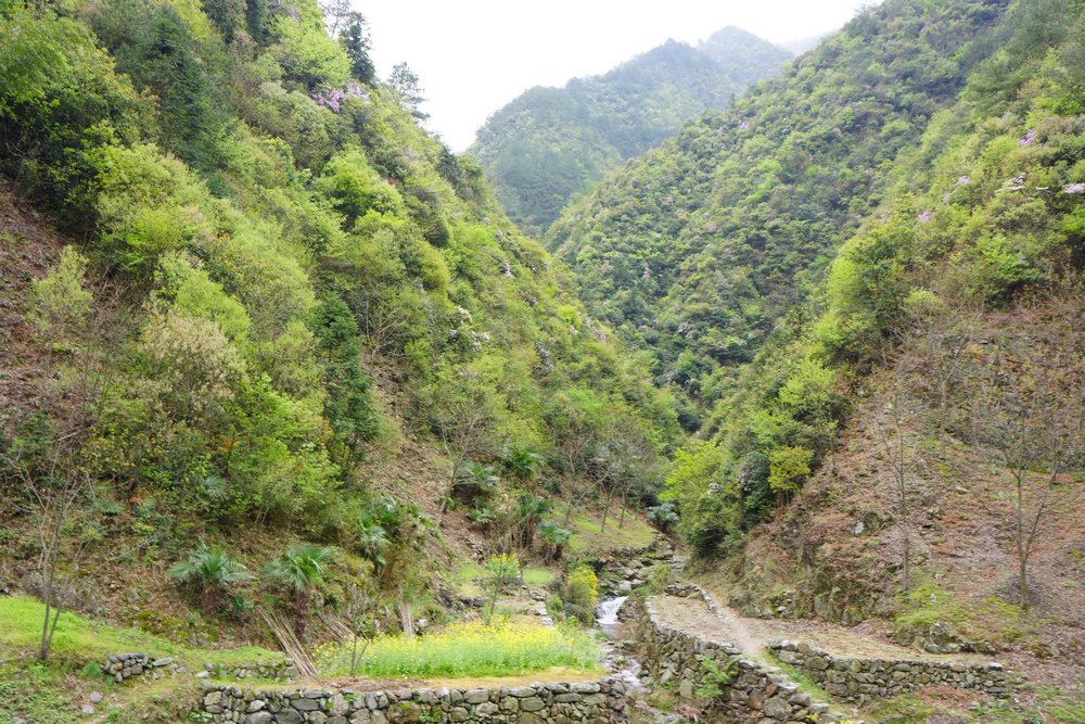 山水画廊1139.jpg