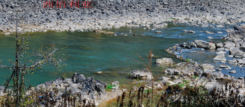 dsc_0222_СС.jpg