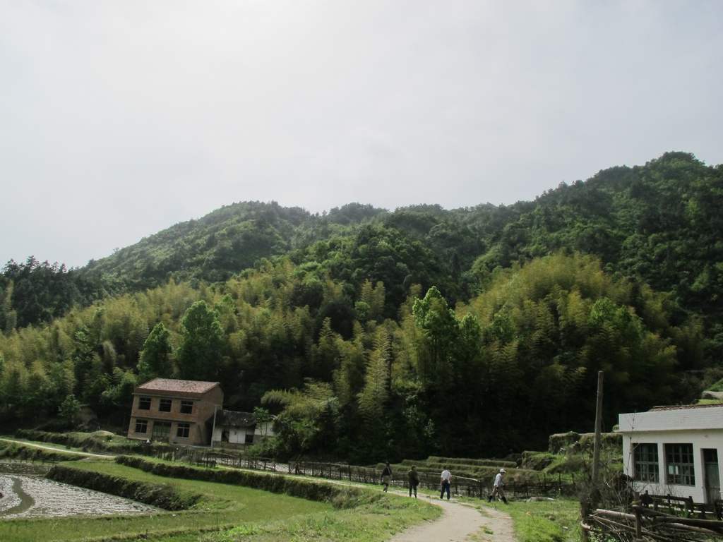 4y 038.jpg
