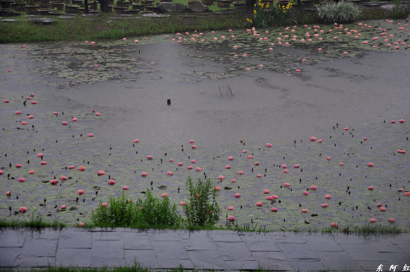 dsc_0120.jpg