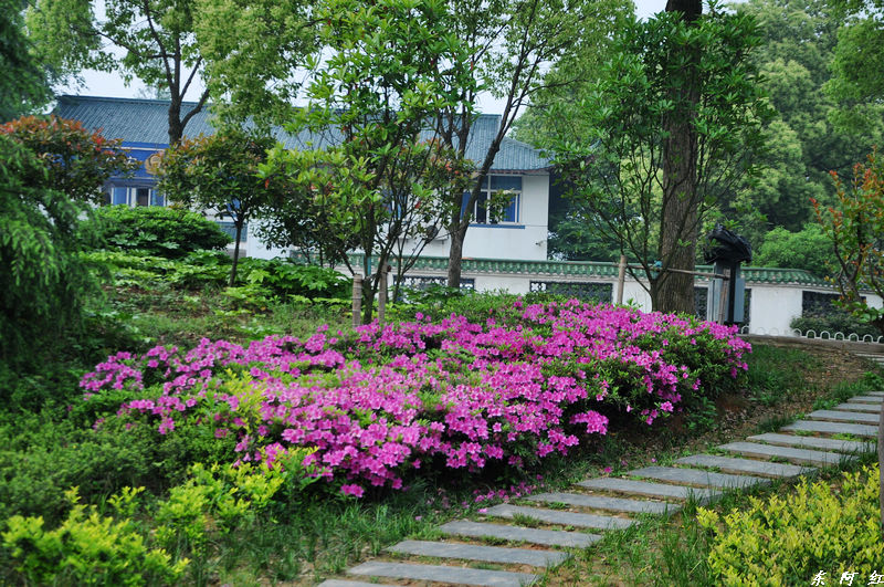dsc_0003.jpg