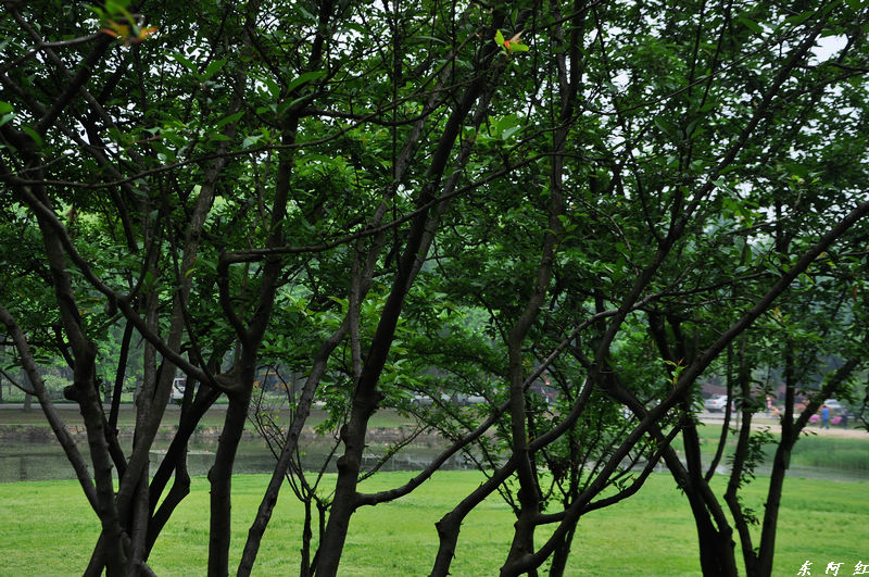dsc_0045.jpg