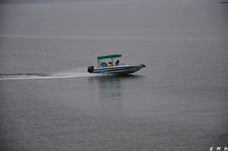 dsc_0063.jpg