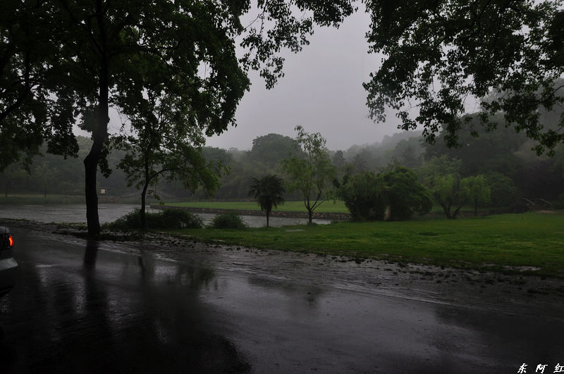dsc_0127.jpg