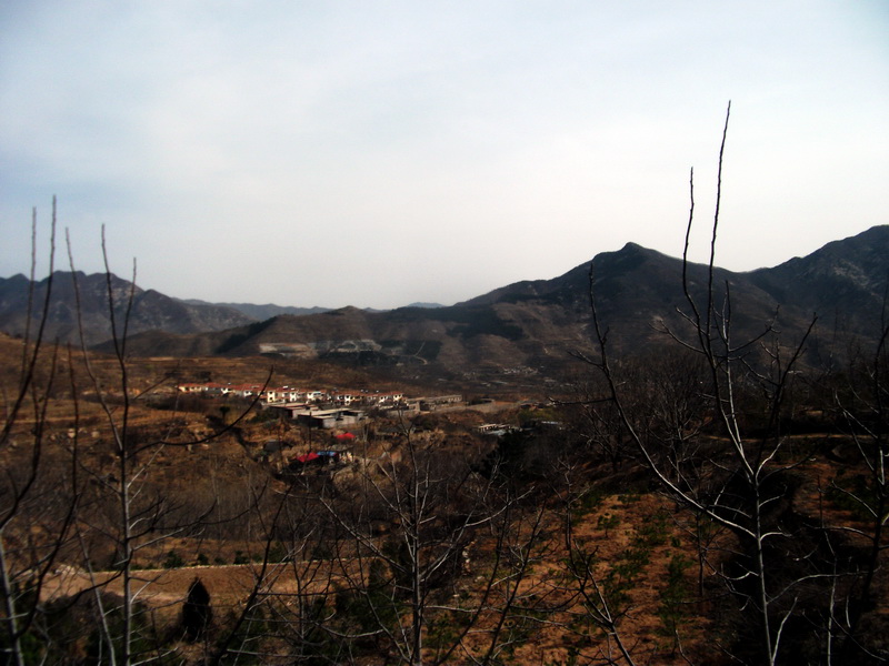 dscf0056.jpg