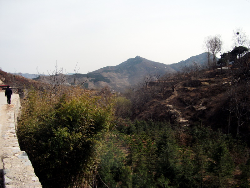 dscf0061.jpg