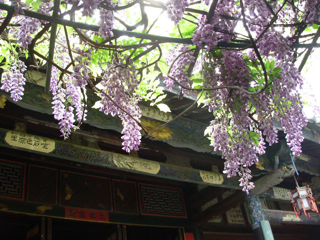 dscn0408.jpg