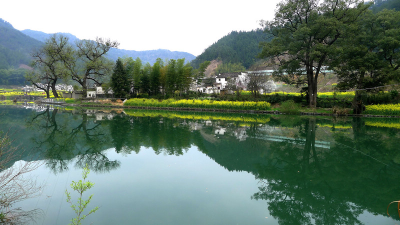 p1090140.jpg