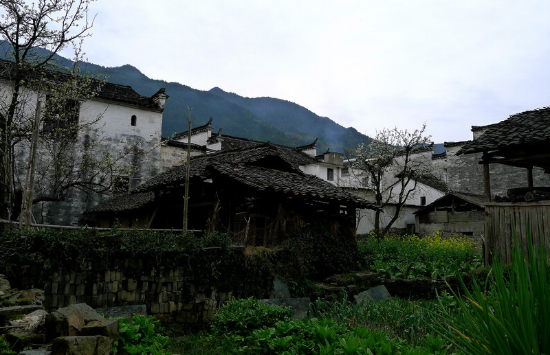 p1090157.jpg
