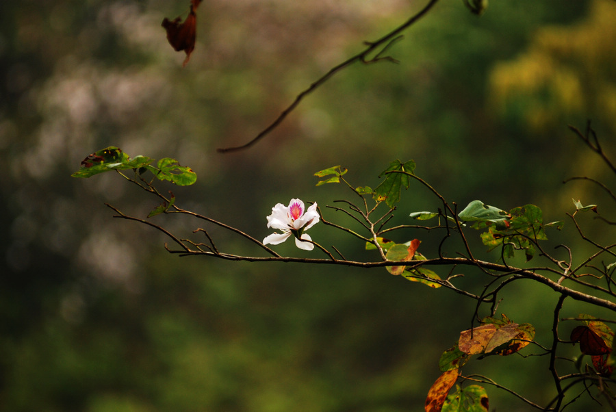 dsc_0614.jpg