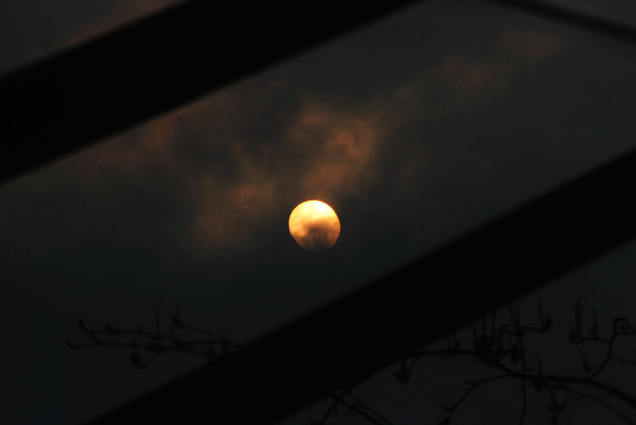 dsc_0626.jpg