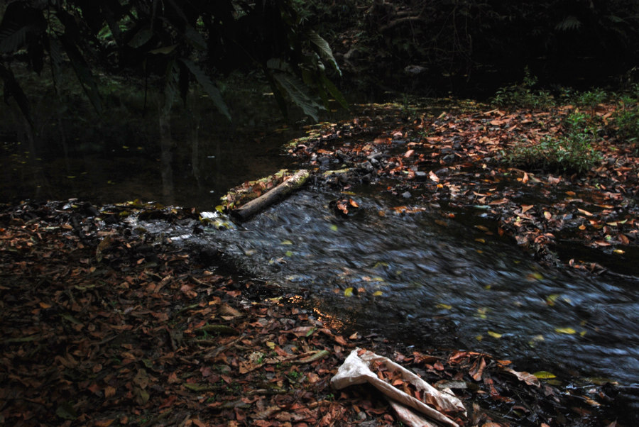 dsc_0653.jpg
