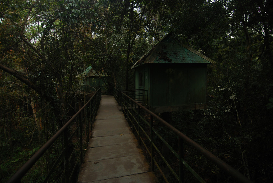 dsc_0667.jpg