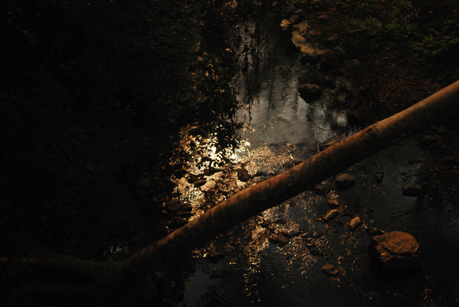 dsc_0676.jpg