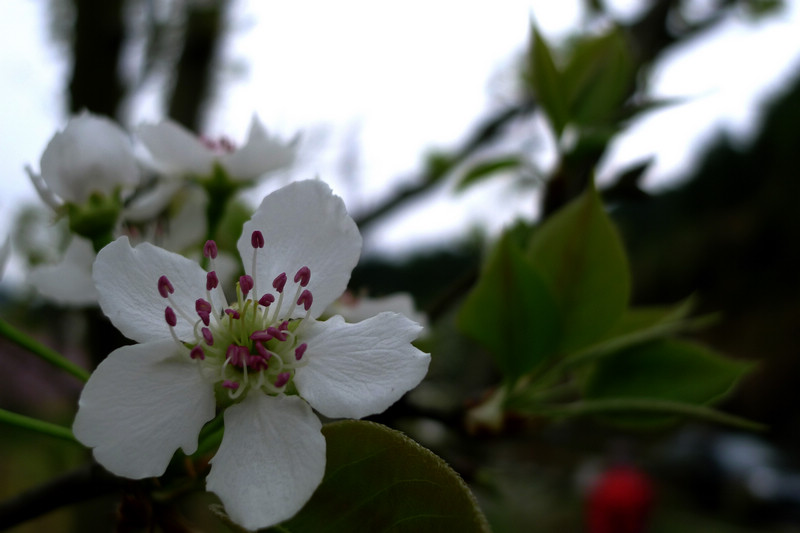 p1090181.jpg