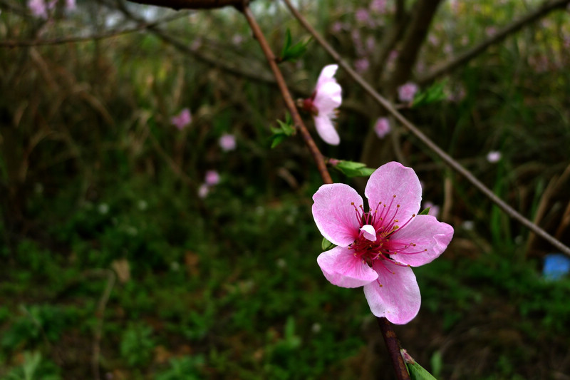 p1090176.jpg