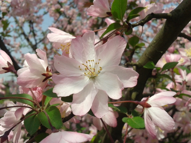 2012-04-03 10.59.31.jpg