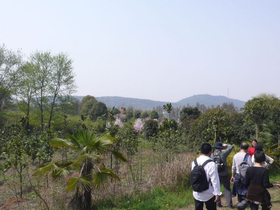 l1120260.jpg