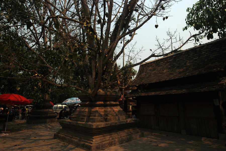 dsc_0881.jpg
