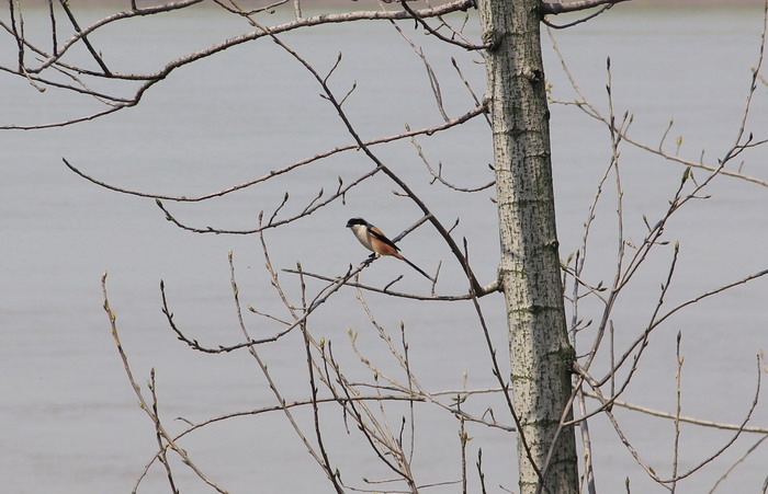 img_6975.jpg