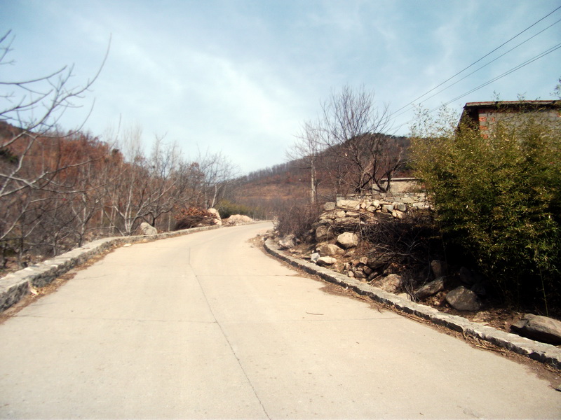 dscf0067.jpg