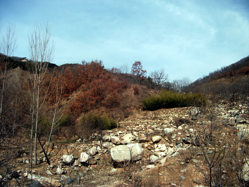dscf0069.jpg