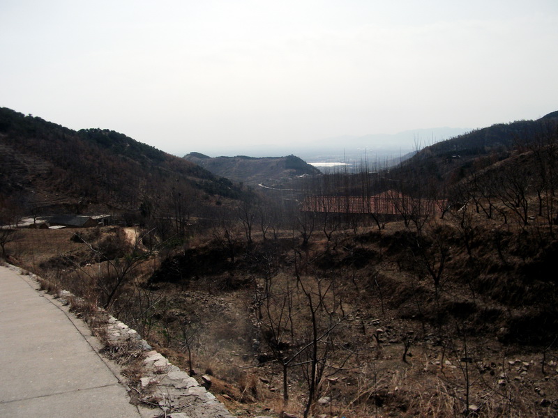 dscf0070.jpg