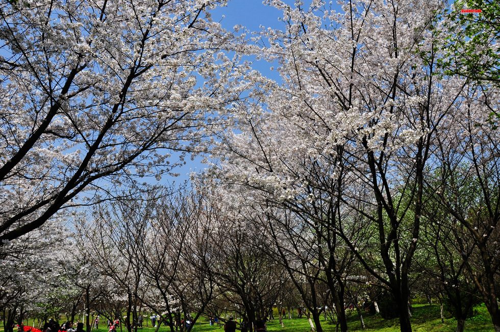 dsc_1326.jpg